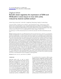 Original Article Baicalin Down Regulates the Expression of TLR4 and Nfkb-P65 in Colon Tissue in Mice with Colitis Induced by Dextran Sulfate Sodium