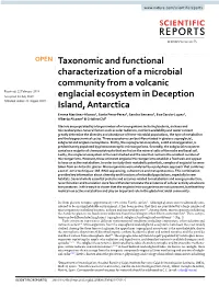 Taxonomic and Functional Characterization of a Microbial Community from a Volcanic Englacial Ecosystem in Deception Island, Anta