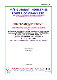 Pre-Feasibility Report