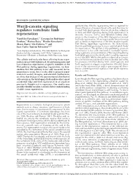 Wnt/ß-Catenin Signaling Regulates Vertebrate Limb Regeneration