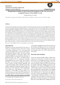 (2012) 284-291 Morphological Studies On