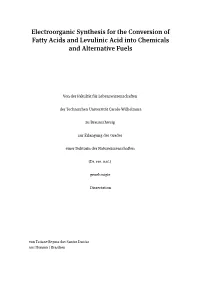 Electroorganic Synthesis for the Conversion of Fatty Acids and Levulinic Acid Into Chemicals and Alternative Fuels