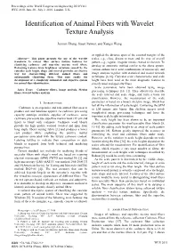 Identification of Animal Fibers with Wavelet Texture Analysis