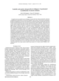 Lamellar and Patchy Intergrowths in Feldspars: Experimental