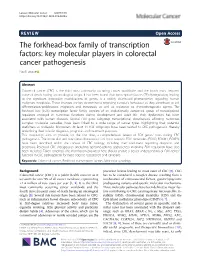 The Forkhead-Box Family of Transcription Factors: Key Molecular Players in Colorectal Cancer Pathogenesis Paul Laissue