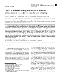 Cep57, a NEDD1-Binding Pericentriolar Material Component, Is Essential for Spindle Pole Integrity