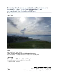 Evaluating Threats Posed by Exotic Phytophthora Species to Endangered Coyote Ceanothus and Selected Natural Communities in the Santa Clara NCCP Area Final Report