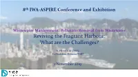 Reviving the Fragrant Harbour: What Are the Challenges?