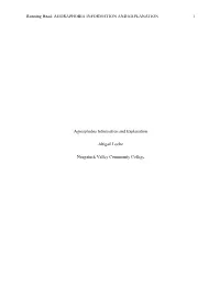 Agoraphobia Information and Explanation 1