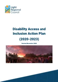Disability Access and Inclusion Plan