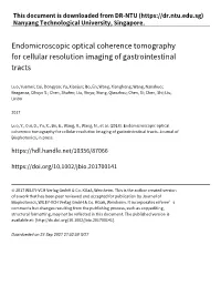 Endomicroscopic Optical Coherence Tomography for Cellular Resolution Imaging of Gastrointestinal Tracts