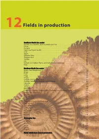 Fields in Production