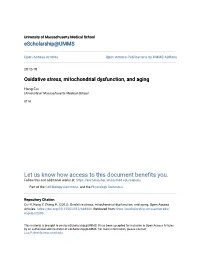 Oxidative Stress, Mitochondrial Dysfunction, and Aging
