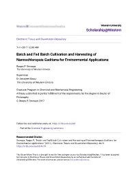 Batch and Fed Batch Cultivation and Harvesting of Nannochloropsis Gaditana for Environmental Applications
