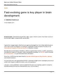 Fast-Evolving Gene Is Key Player in Brain Development