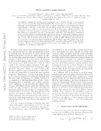 Finite Quantum Gauge Theories