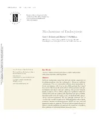 Mechanisms of Endocytosis