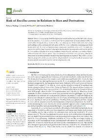 Risk of Bacillus Cereus in Relation to Rice and Derivatives