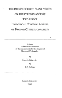 The Impact of Host-Plant Stress on the Performance of Two Insect Biological Control Agents of Broom