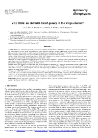 VCC 2062: an Old Tidal Dwarf Galaxy in the Virgo Cluster?