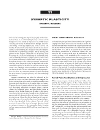 Chapter 11: Synaptic Plasticity (PDF)