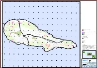 ILHA DO PICO Arcos S