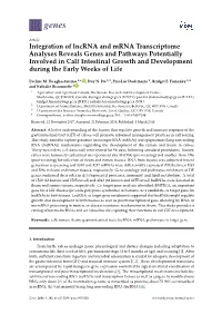 Integration of Lncrna and Mrna Transcriptome Analyses Reveals