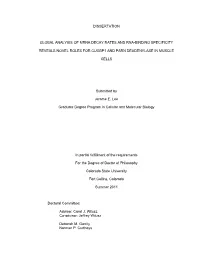 Dissertation Global Analysis of Mrna Decay Rates And