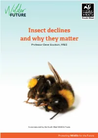 Insect Declines and Why They Matter Professor Dave Goulson, FRES
