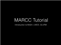 Introduction to BASH, LMOD, SLURM Shells
