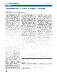Understanding Adaptation in Large Populations