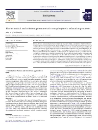 Biomechanical and Coherent Phenomena in Morphogenetic Relaxation Processes