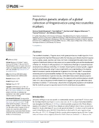 Population Genetic Analysis of a Global Collection of Fragaria Vesca Using Microsatellite Markers