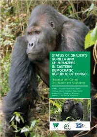 Status of Grauer's Gorilla and Chimpanzees in Eastern