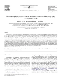 And Intercontinental Biogeography of Calycanthaceae