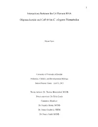 Interactions Between the Ur Element RNA Oligonucleotide and Cstf