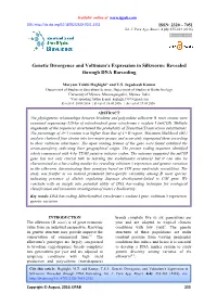 Genetic Divergence and Voltinism's Expression in Silkworm