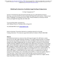 Modeling the Dynamics of Antibody–Target Binding in Living Tumors