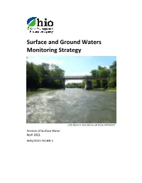 Surface and Ground Waters Monitoring Strategy