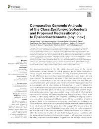 Comparative Genomic Analysis of the Class Epsilonproteobacteria and Proposed Reclassification to Epsilonbacteraeota (Phyl. Nov.)