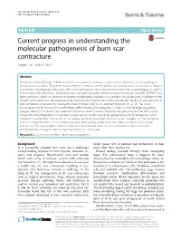 Current Progress in Understanding the Molecular Pathogenesis of Burn Scar Contracture Jianglin Tan1 and Jun Wu2*