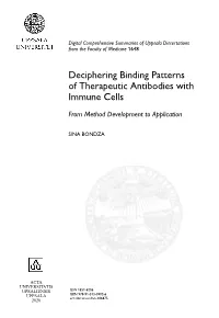 Deciphering Binding Patterns of Therapeutic Antibodies with Immune Cells