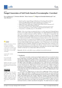 Fungal Associates of Soft Scale Insects (Coccomorpha: Coccidae)