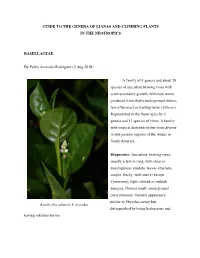 Guide to the Genera of Lianas and Climbing Plants in the Neotropics
