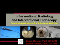 Interventional Radiology and Interventional Endoscopy Practical Applications for Veterinary Medicine
