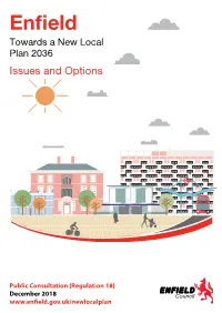 Local Plan Issues and Options (PDF)