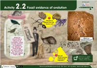 Science by Doing Ecosystems and Change Student Guide