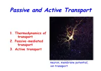 Passive and Active Transport