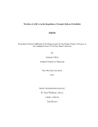 The Role of Asic1a in the Regulation of Synaptic Release Probability