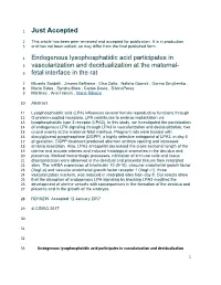 The Success of Early Pregnancy Is Determined by the Action of Fundamental Processes That Take Place in the First Week After Fert